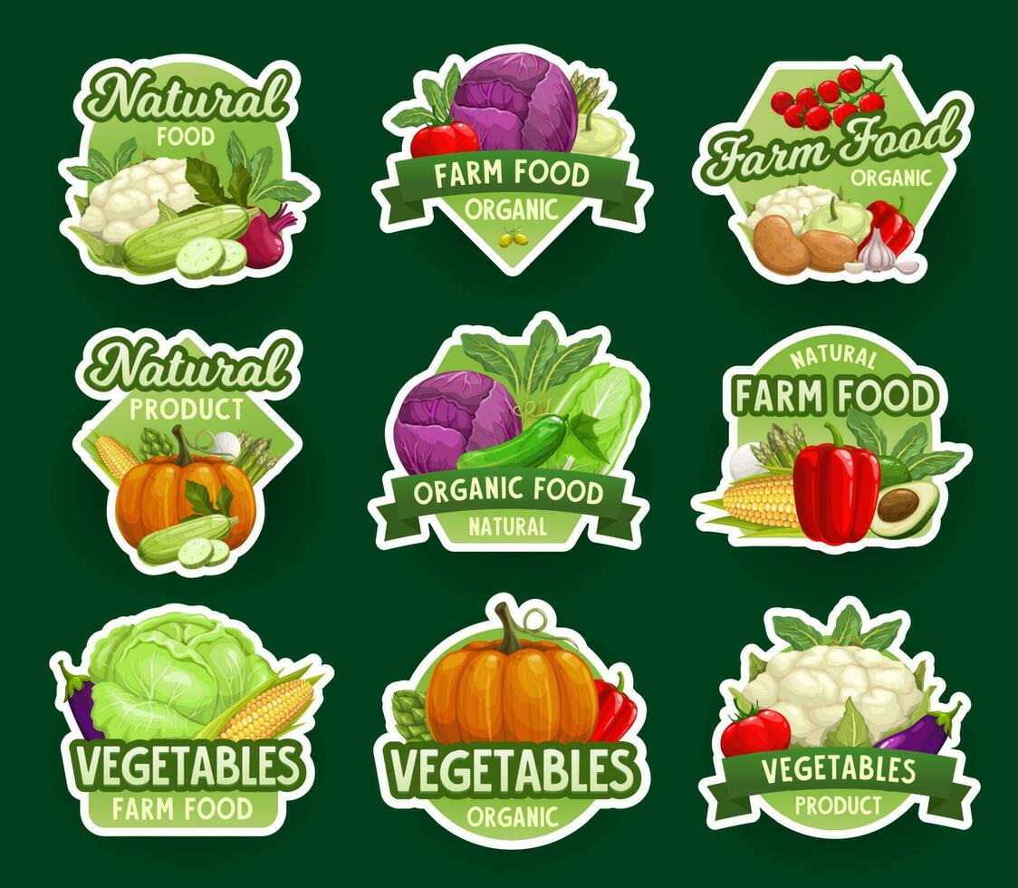 Farm natural vegetable icons and stickers, veggies vector