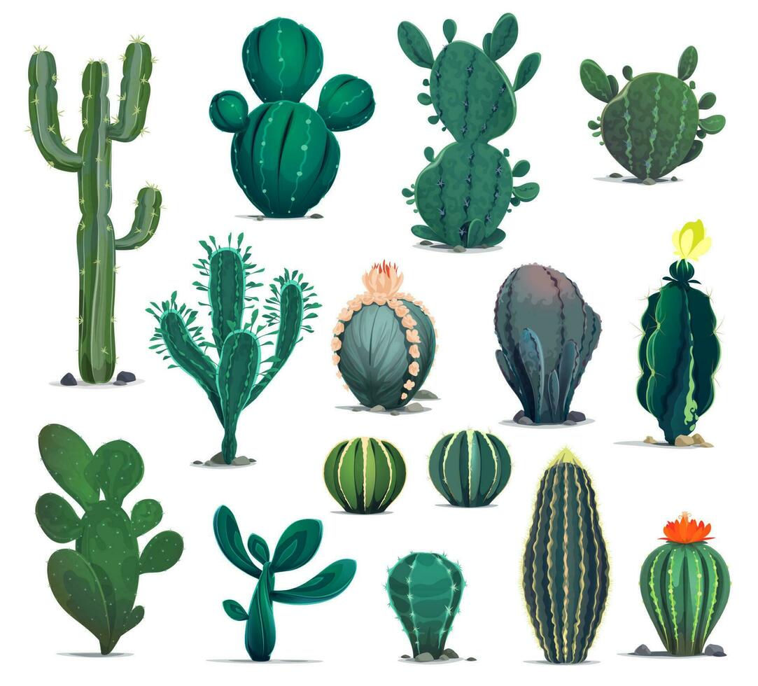 Cartoon desert cactuses, prickly succulents plants vector