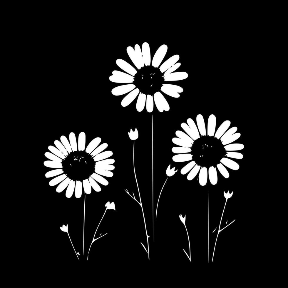 Daisies - Black and White Isolated Icon - Vector illustration