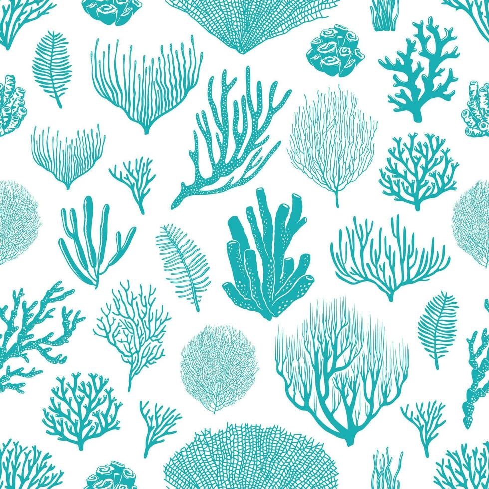 Sea corals, aquarium plants seamless pattern vector