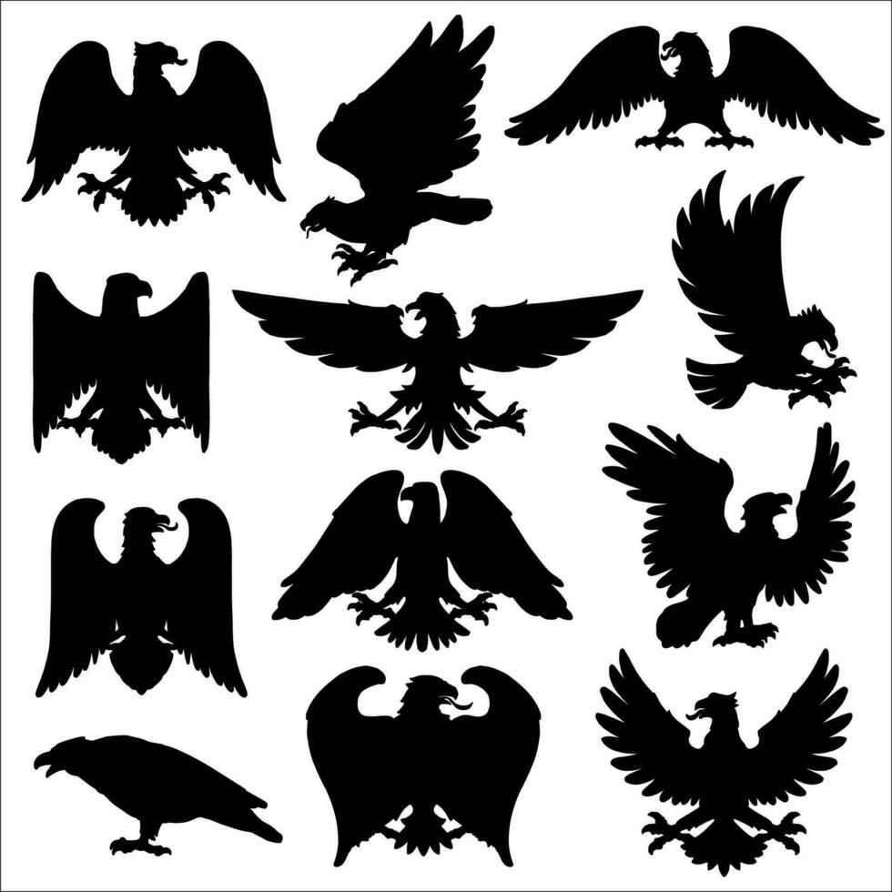 Royal heraldry eagles, heraldic hawk or falcon vector