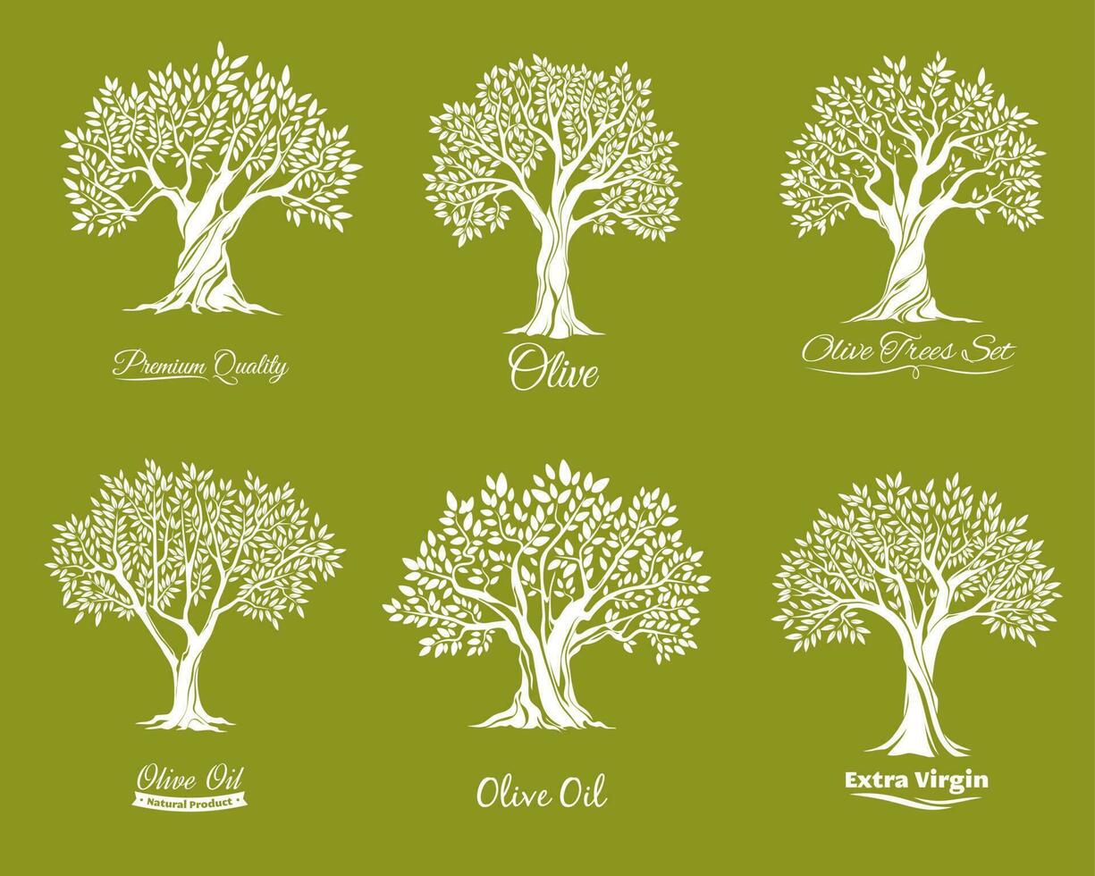 Olive trees farm vector icons set