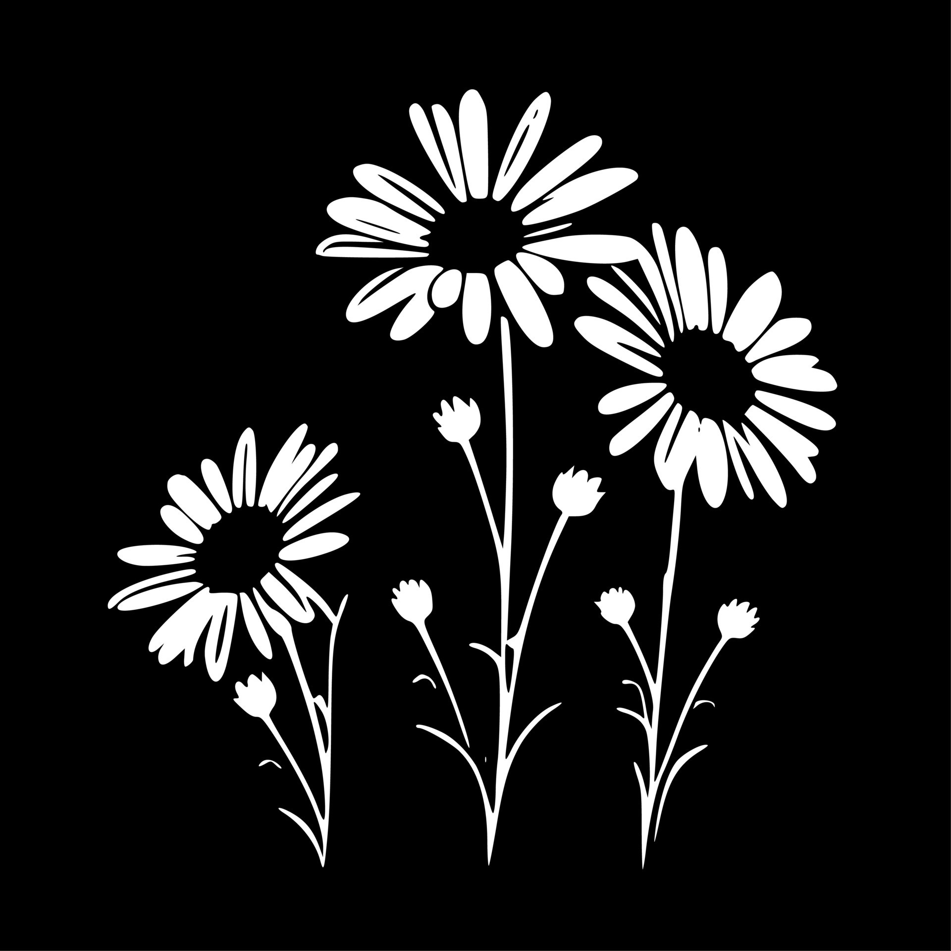 Daisies, Black and White Vector illustration 23542907 Vector Art at