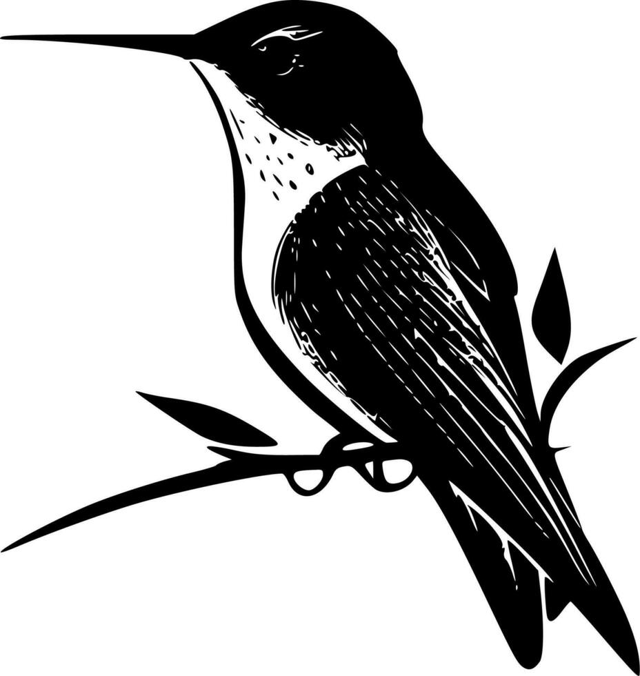 Hummingbird, Minimalist and Simple Silhouette - Vector illustration
