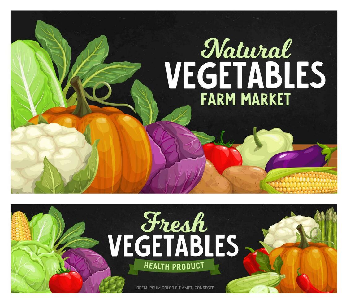 Ripe farm vegetables chalkboard, food harvest vector