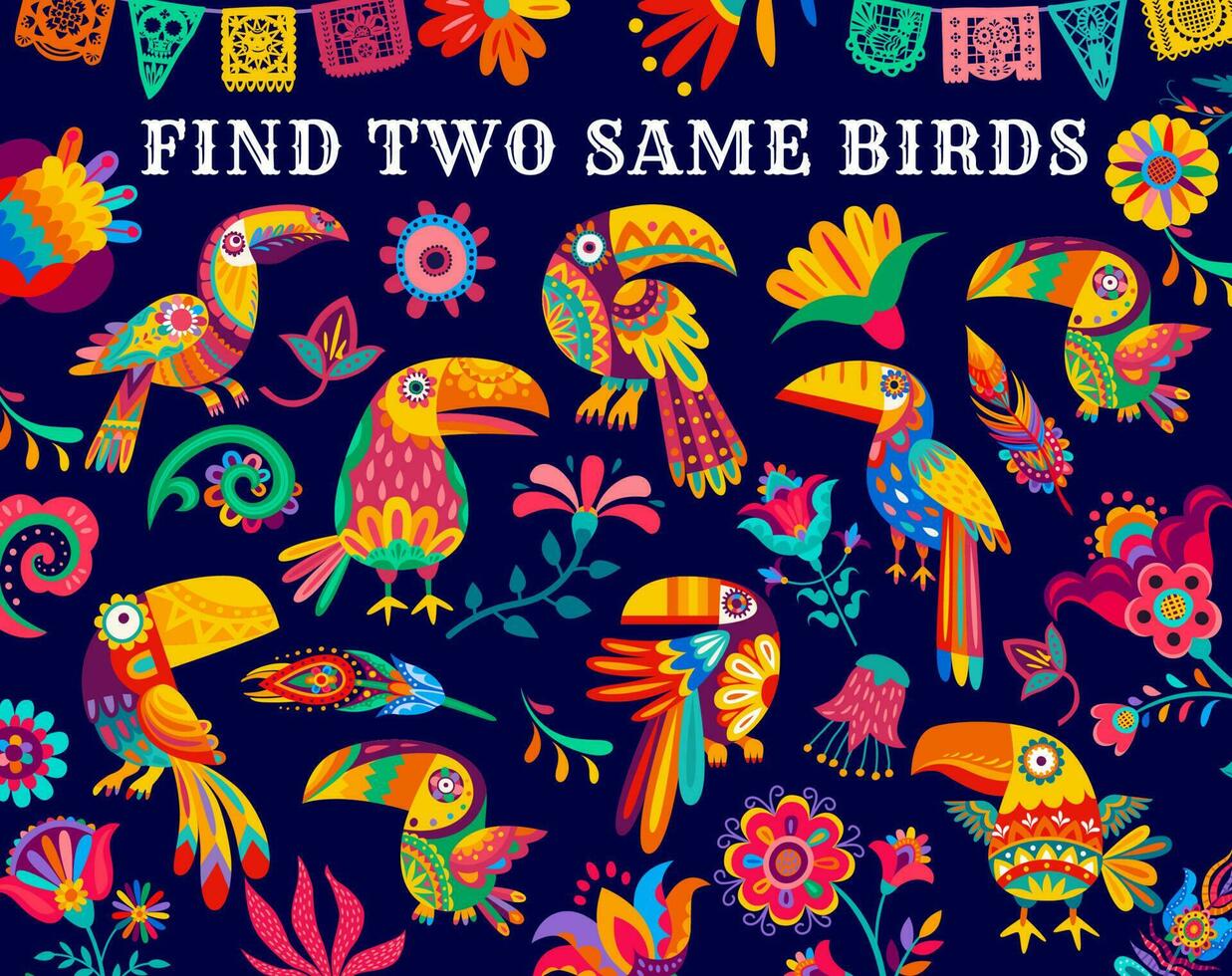 Find two same Mexican toucans, kids game riddle vector