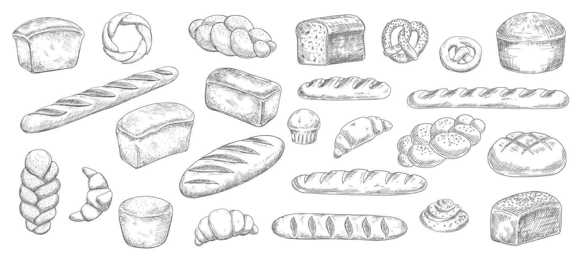 Bread and bakery sketches, engraved pastry vector