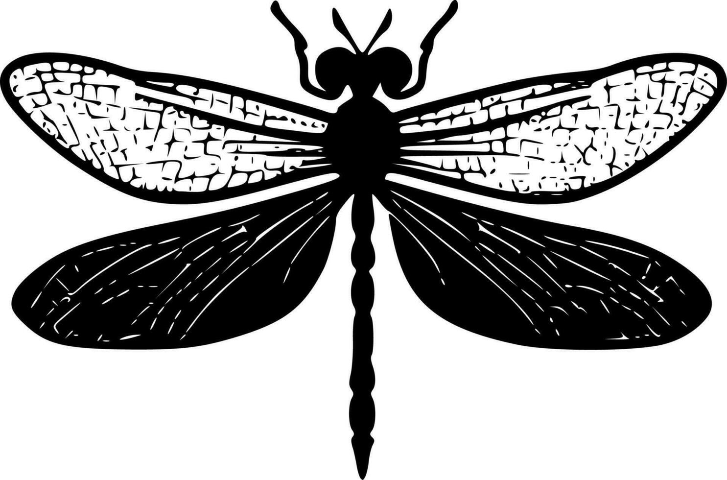 Dragonfly - Black and White Isolated Icon - Vector illustration