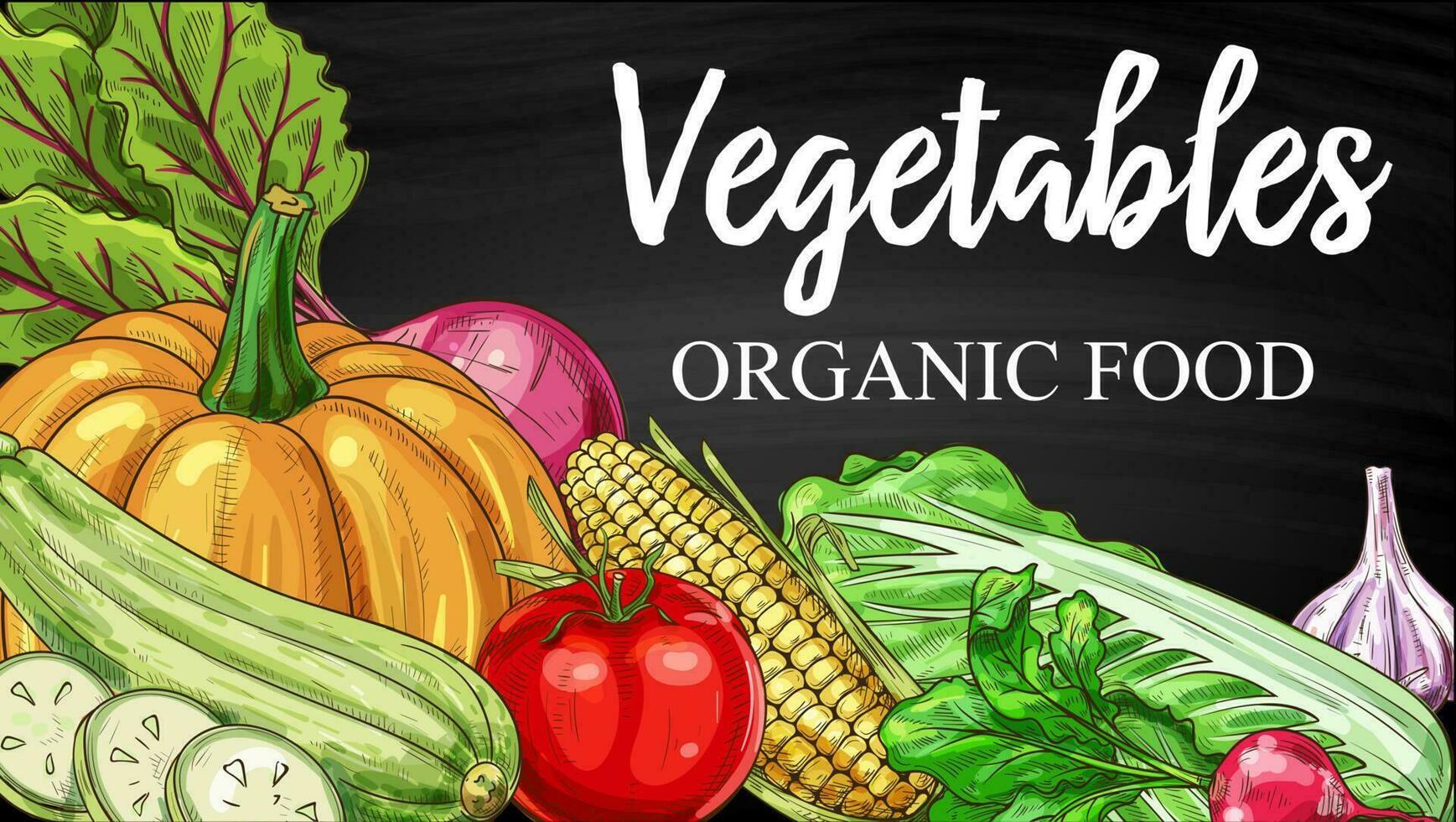 Vegetables chalkboard sketch, farm veggies vector