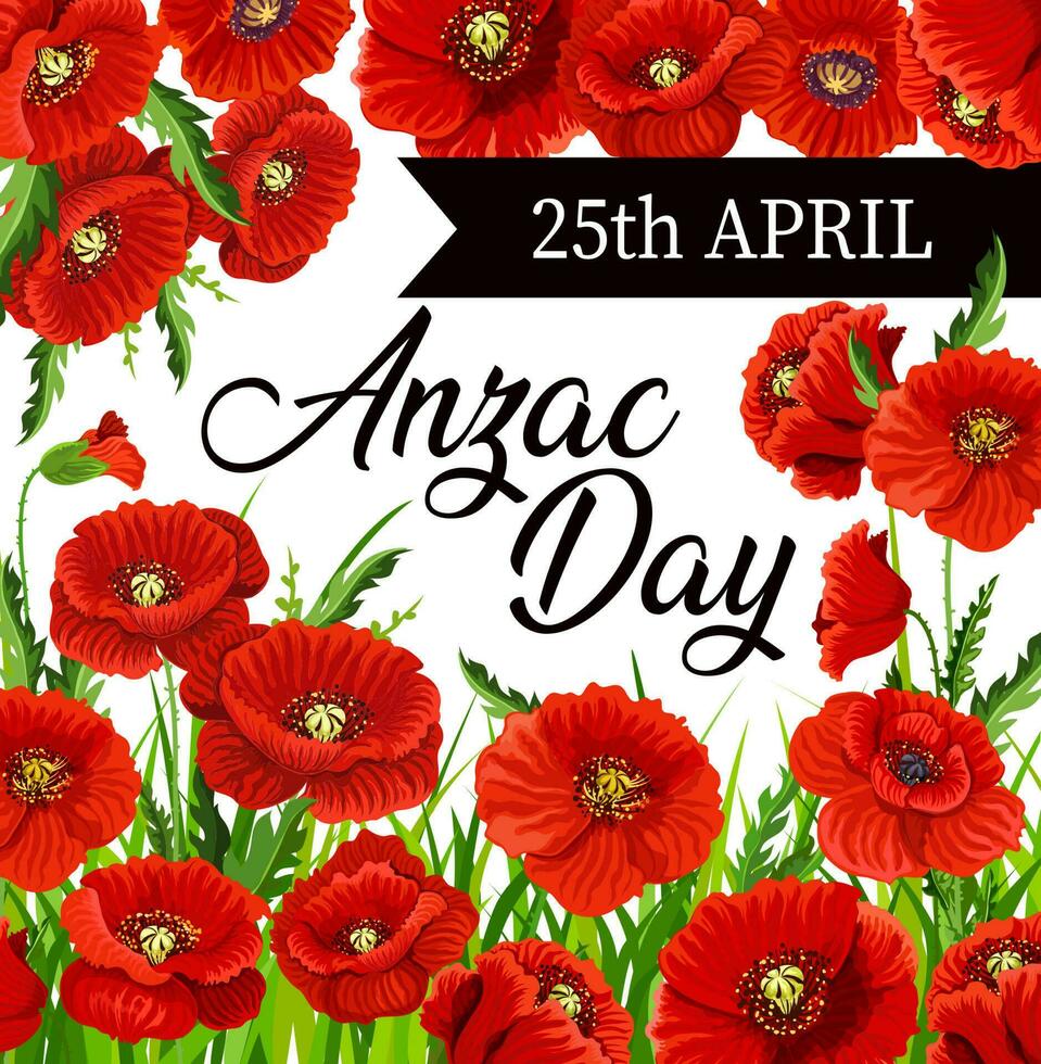 Red poppy flowers of Anzac Day vector