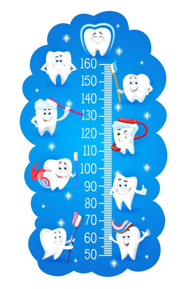 Cartoon teeth with toothbrushes, kids height chart vector
