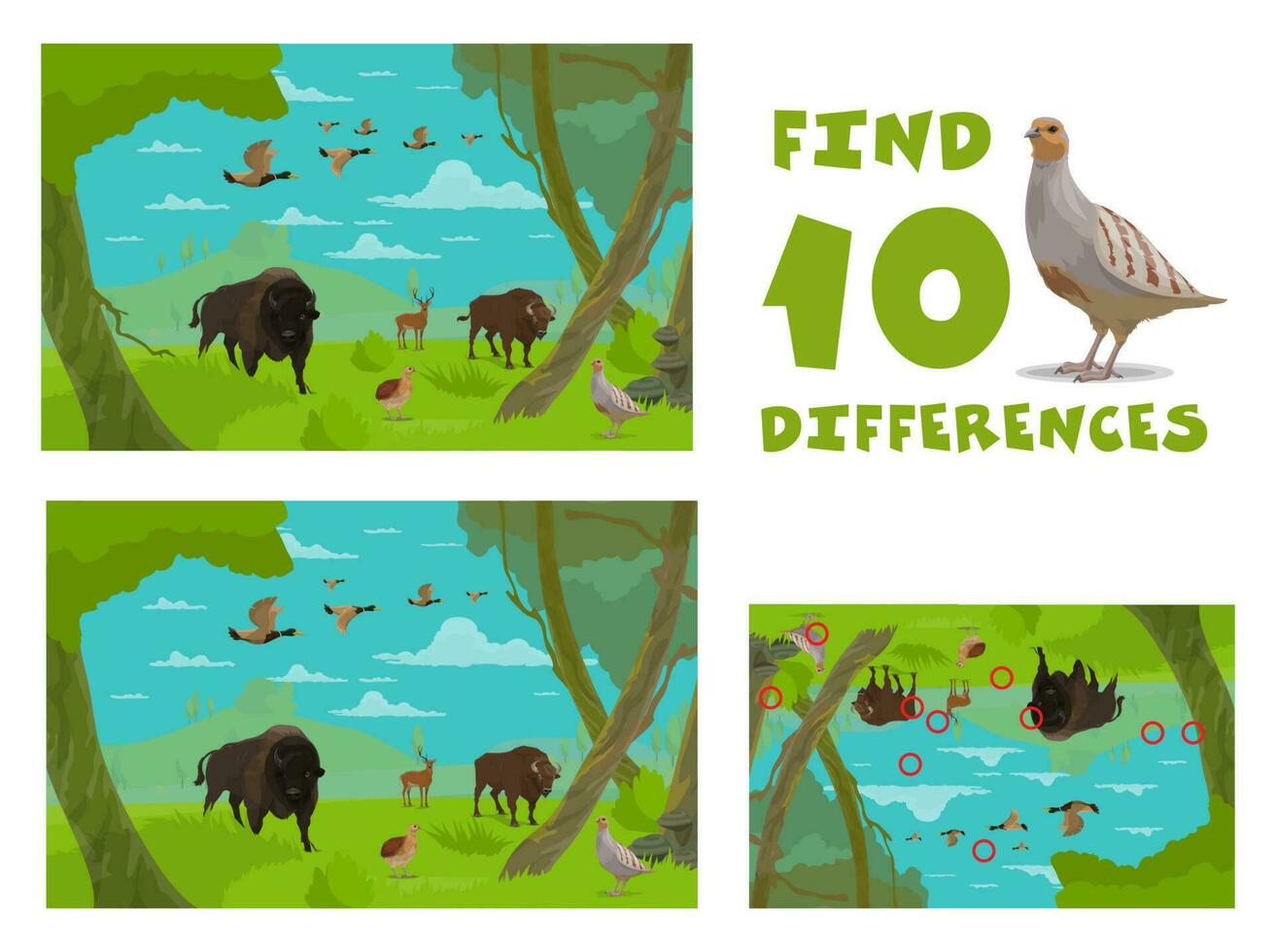 Find ten differences of cartoon wild animals vector