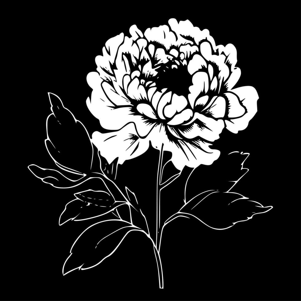 Peony, Black and White Vector illustration