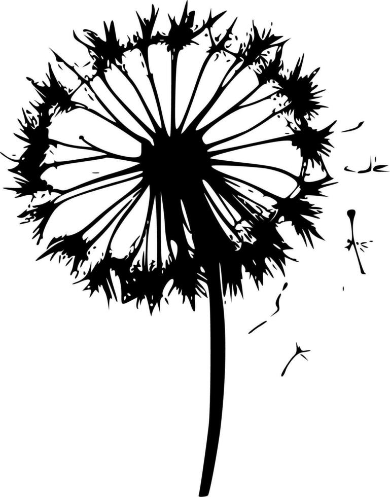 Dandelion, Black and White Vector illustration