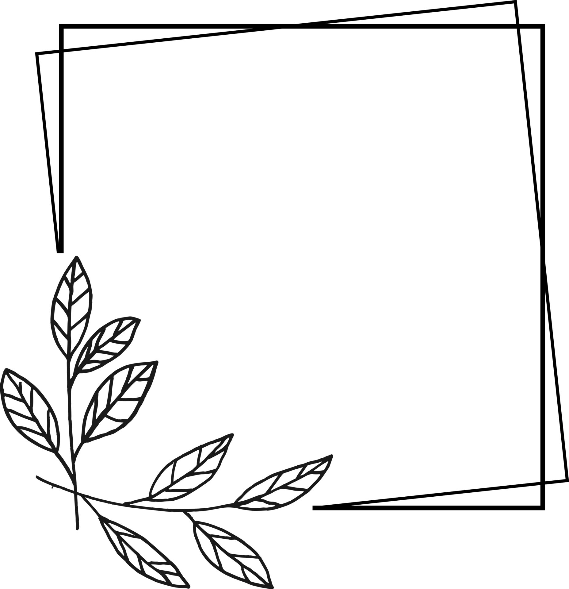 Simple square floral frame border with a corner of hand drawn plants for a  wedding or engagement or greeting card 23546055 PNG
