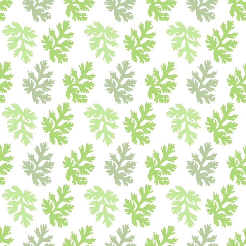 Green coriander leaves pattern on white background, flat vector. vector