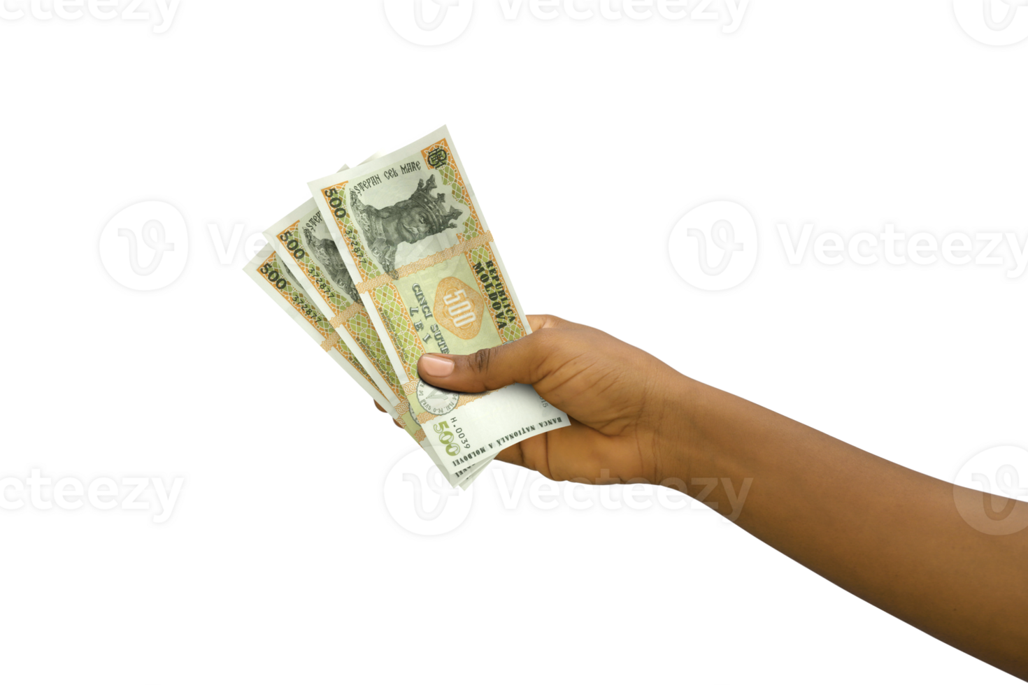 Fair hand holding 3D rendered Moldovan leu notes isolated on  transparent background png