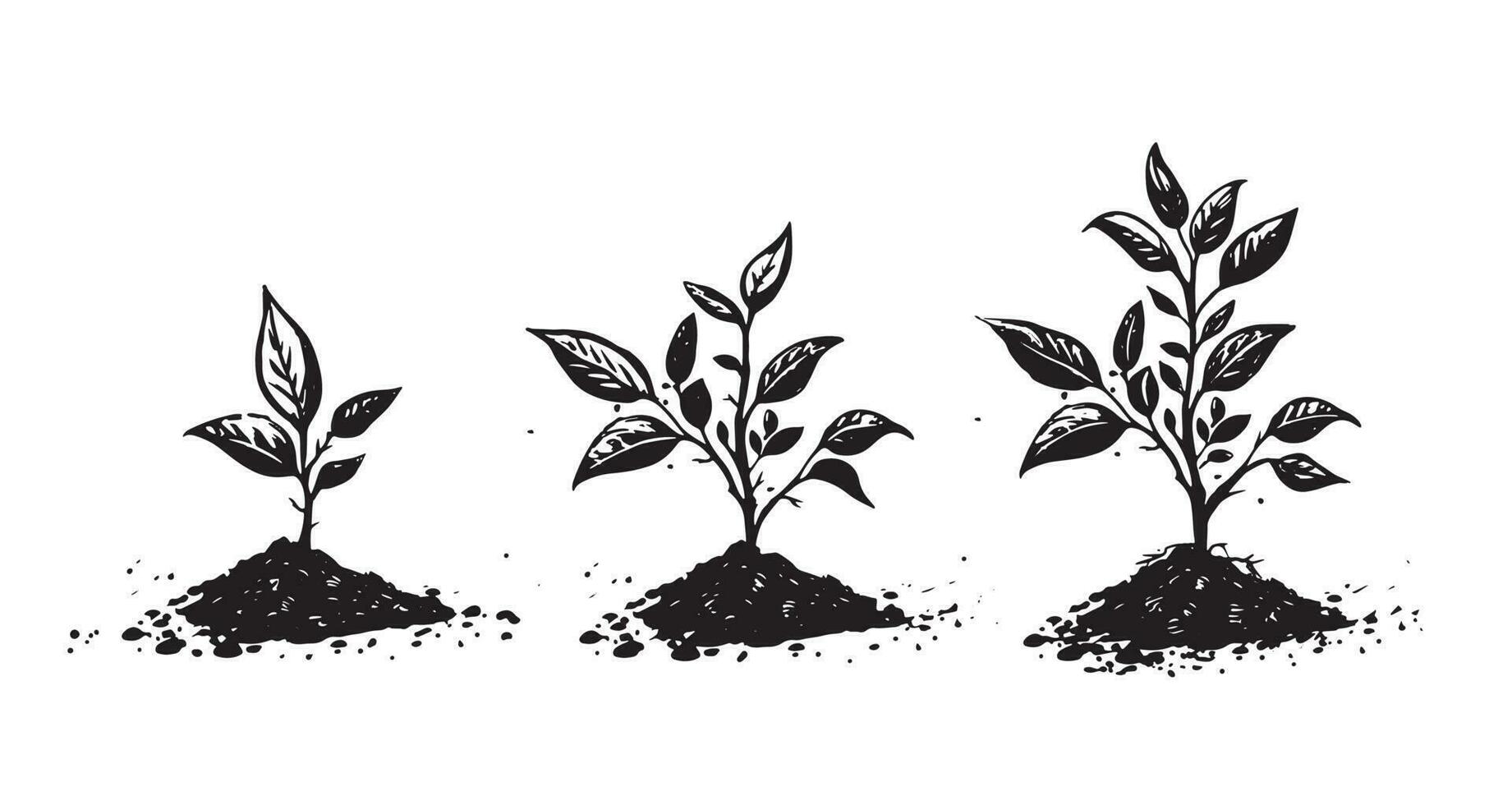 Gradual tree growth in the ground, hand drawn illustrations, vector. vector