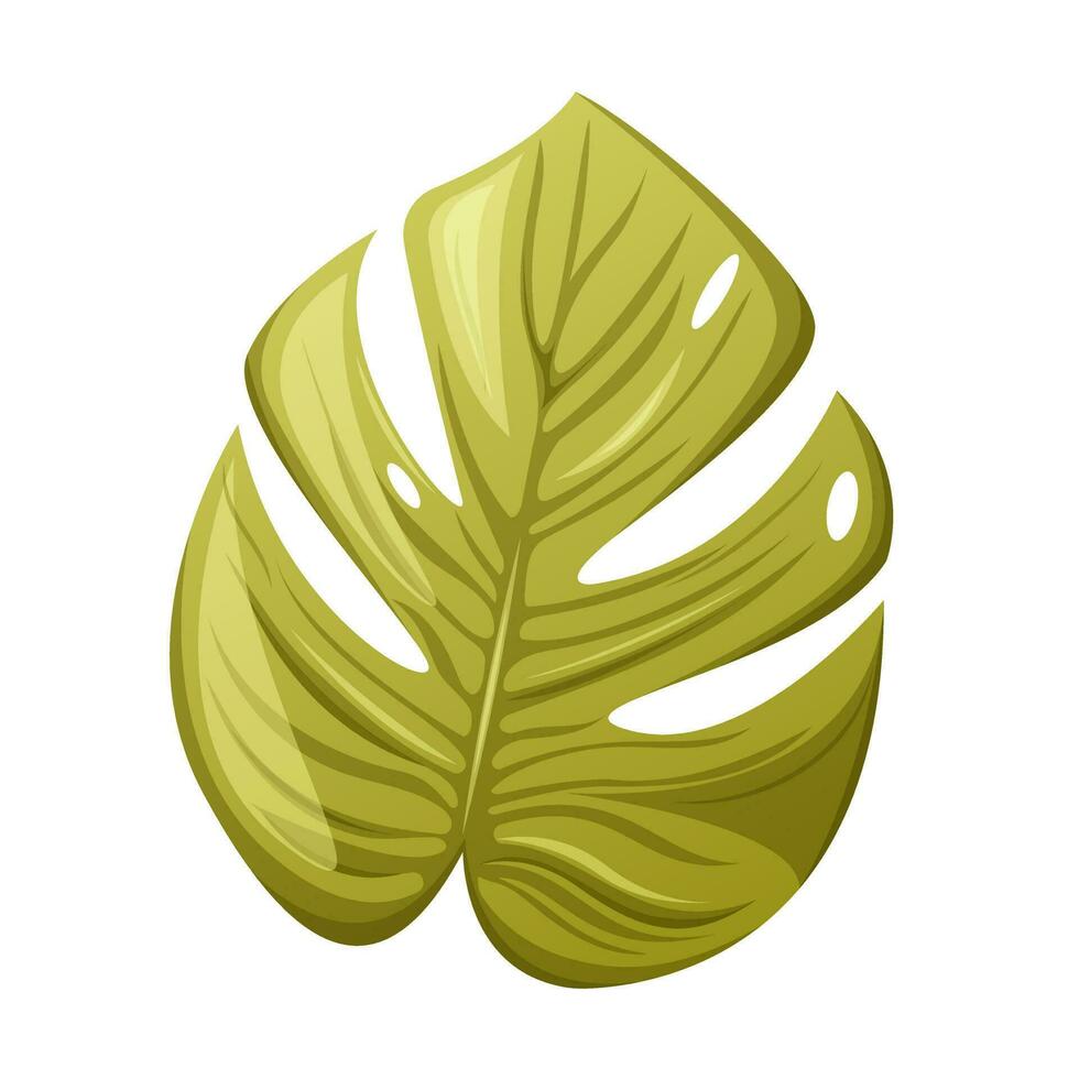 Tropical monstera leaf, cartoon style, trendy vector illustration