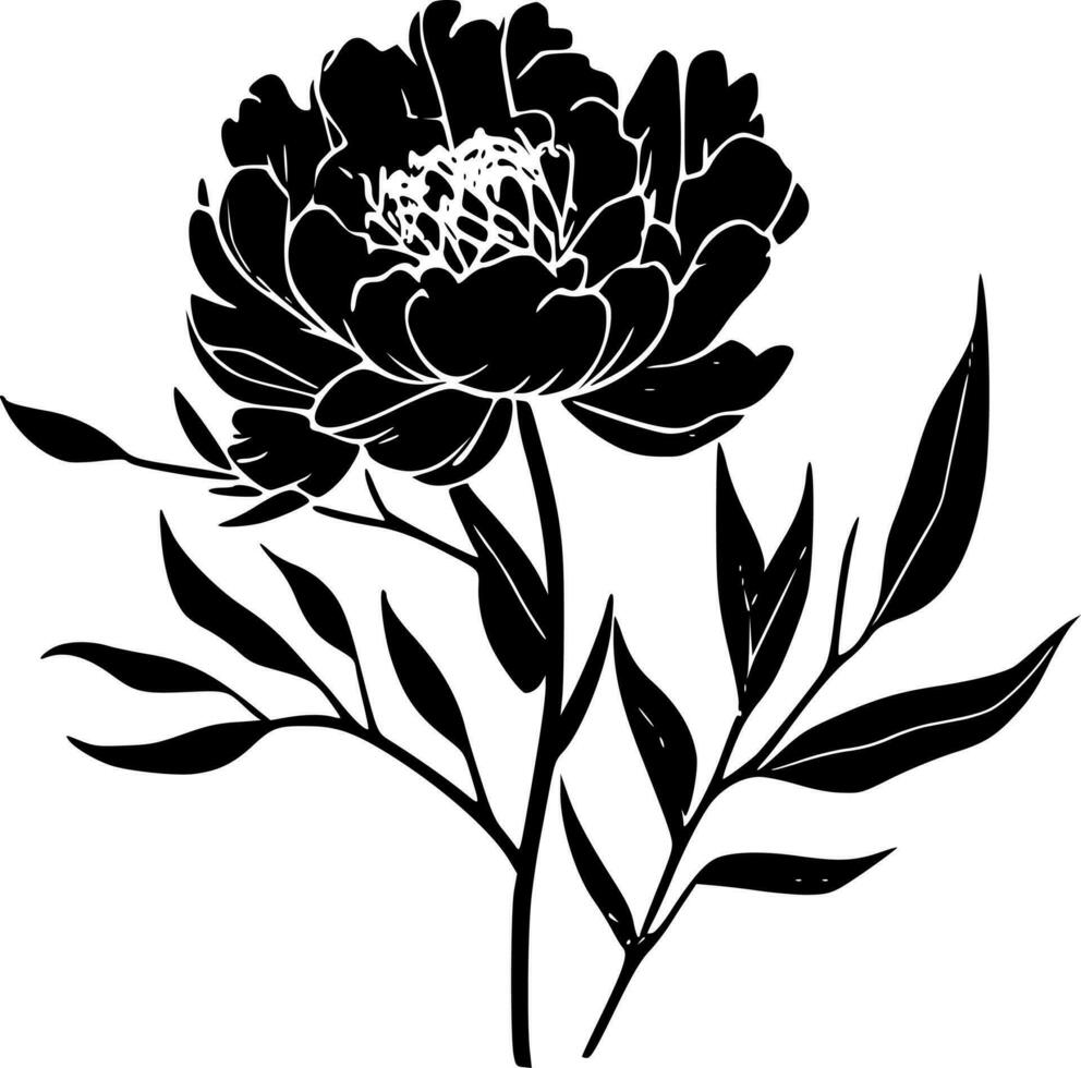 Peony, Black and White Vector illustration