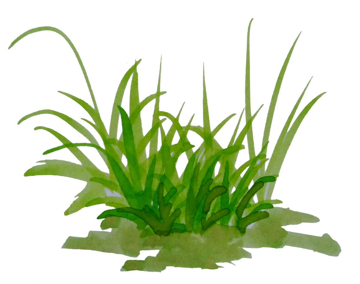 watercolor grass painting 23551324 PNG