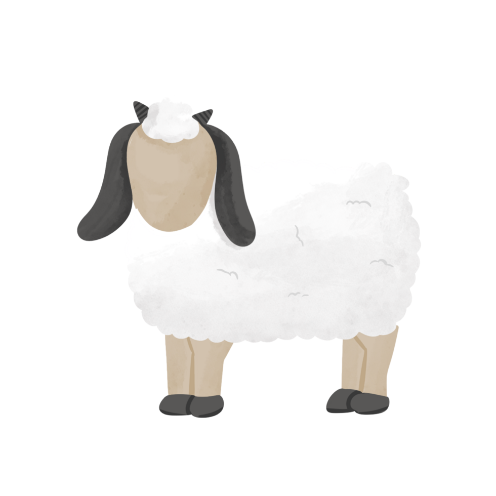 faceless sheep illustration png