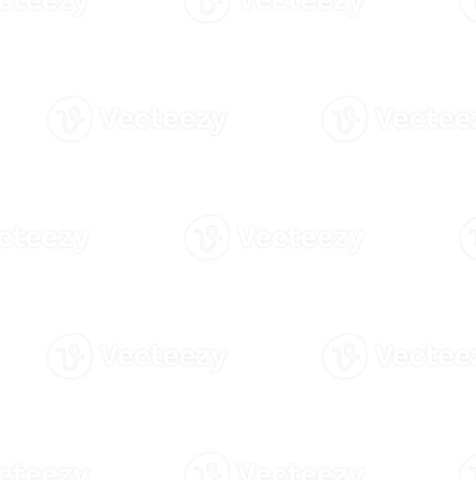 White snowflakes element. png