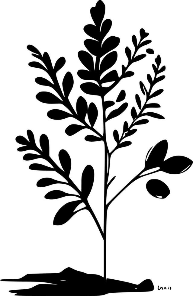 Botanical, Black and White Vector illustration