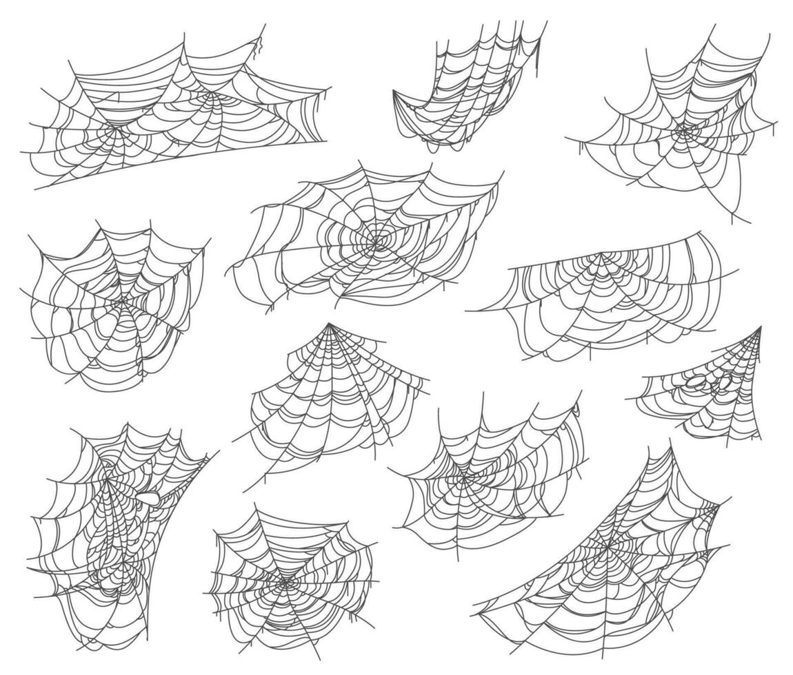 Víspera de Todos los Santos aislado telaraña y telaraña redes conjunto vector