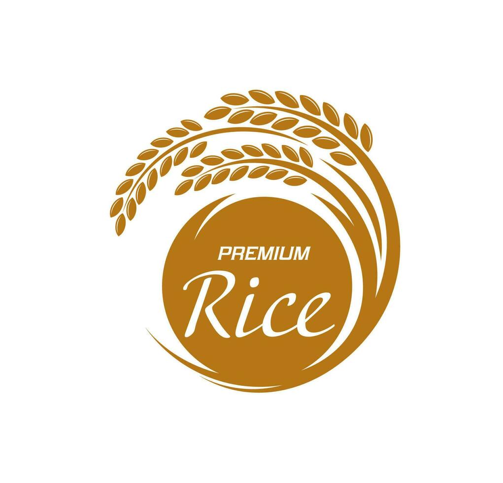 Rice icon, grain food plant, organic agriculture vector