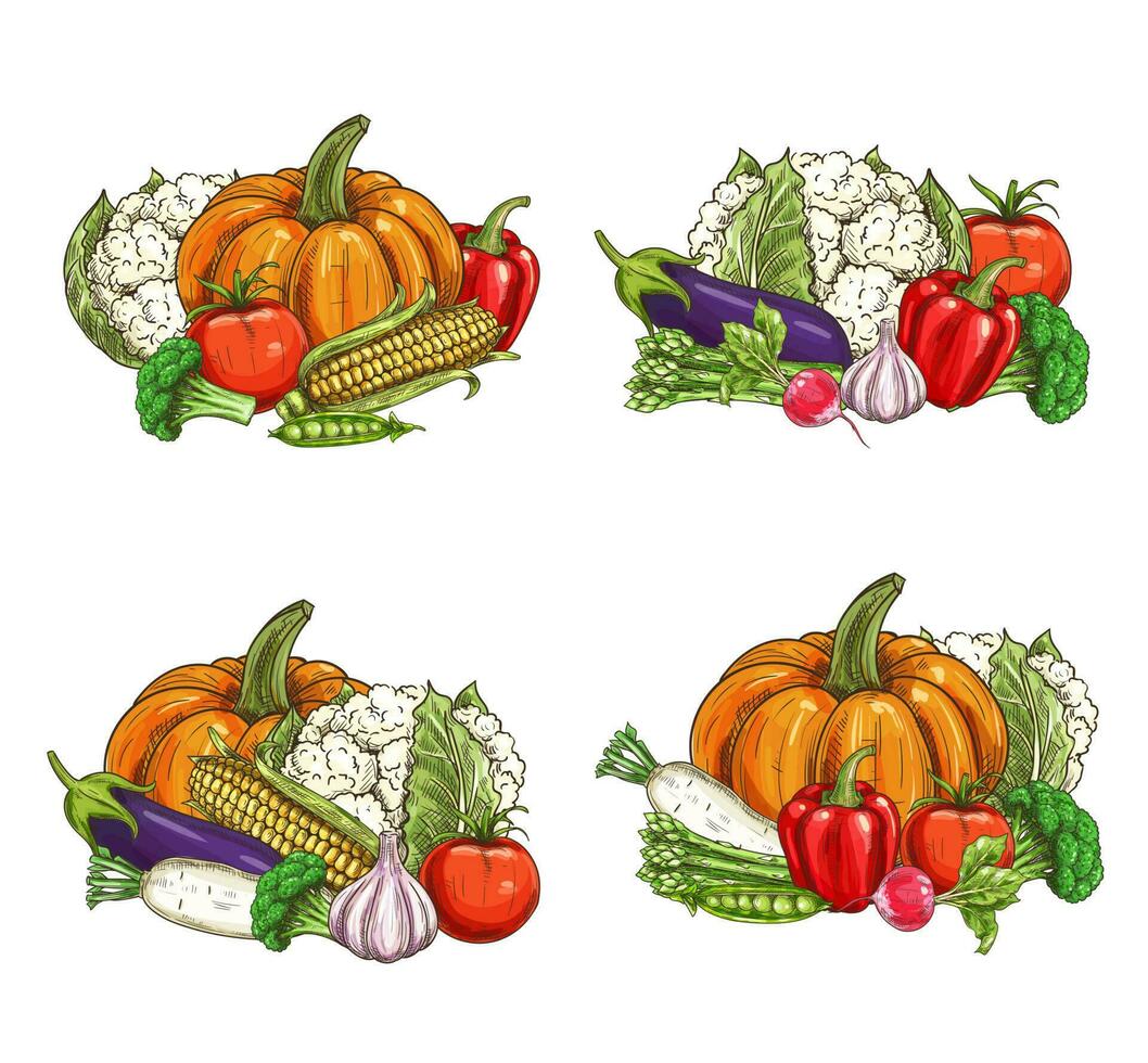 Vegetables sketch, fresh farm food harvest vector