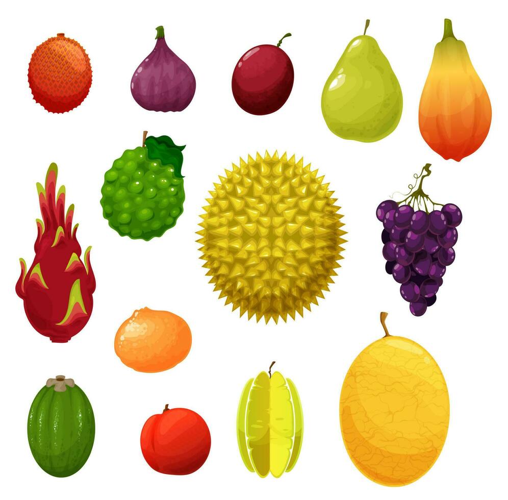 Fruits tropical exotic and farm garden flat icons vector
