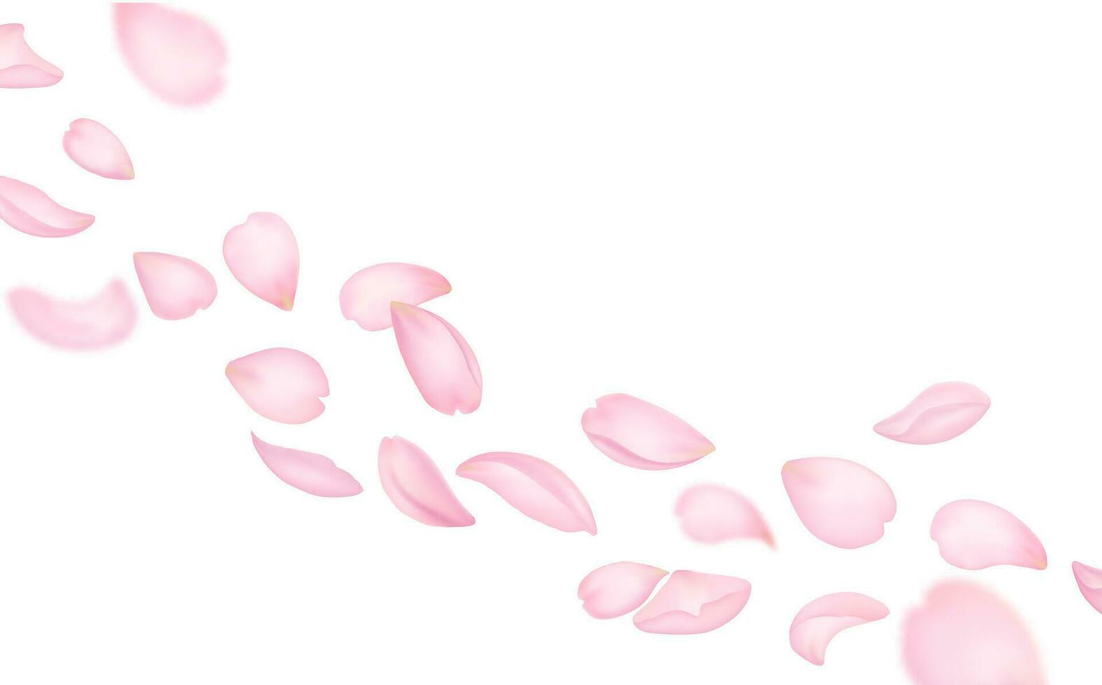 Flying sakura petals spring background vector