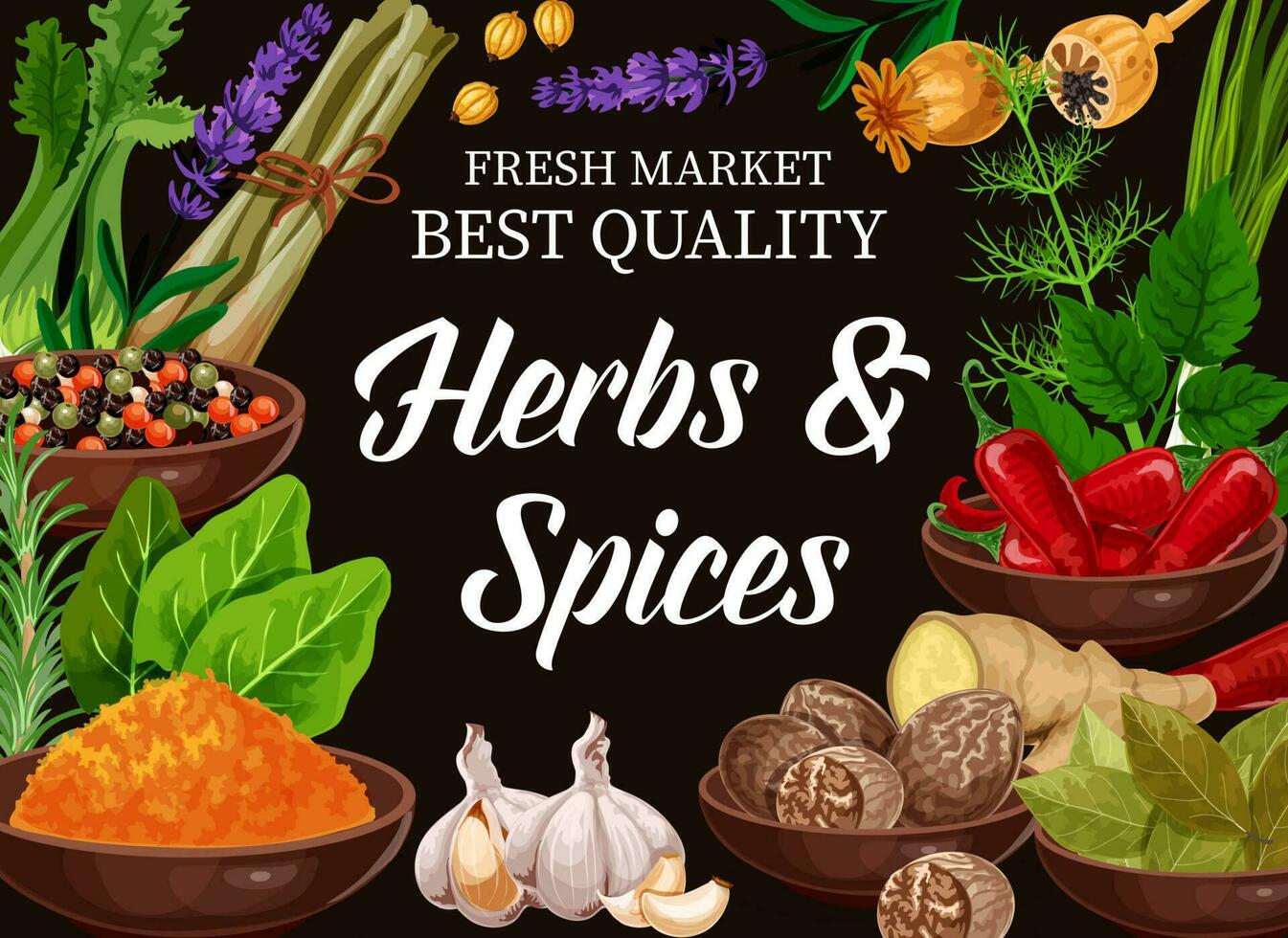 Herbs seasonings, spices and cooking condiments vector