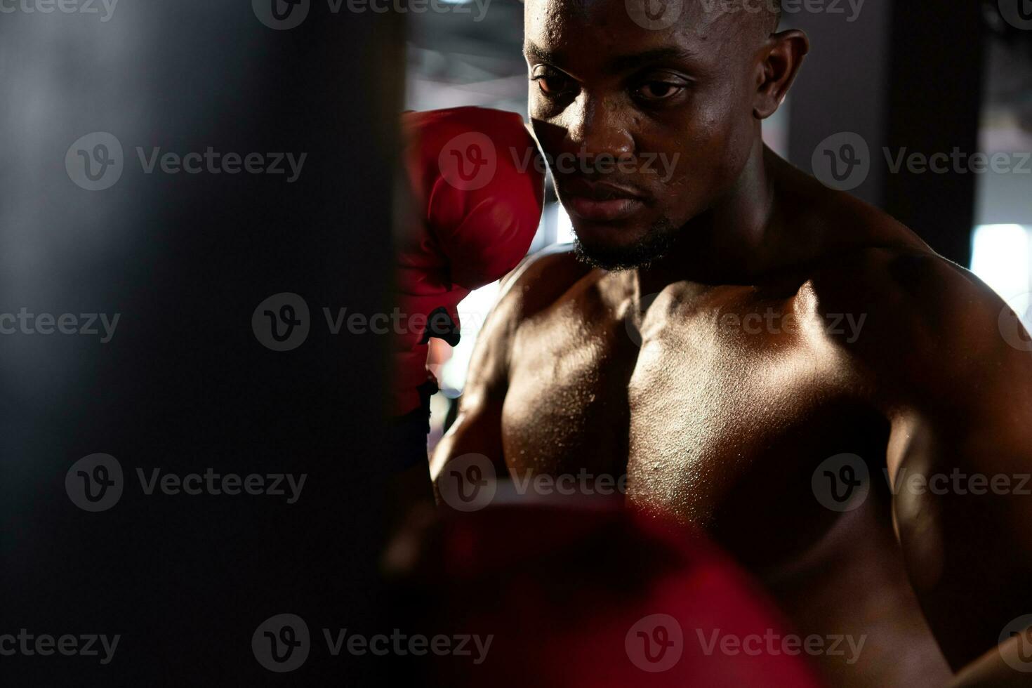 Portrait of boxers must practice their kicking and punching skills with punching bag. To build strength and power of kicking and punching. photo