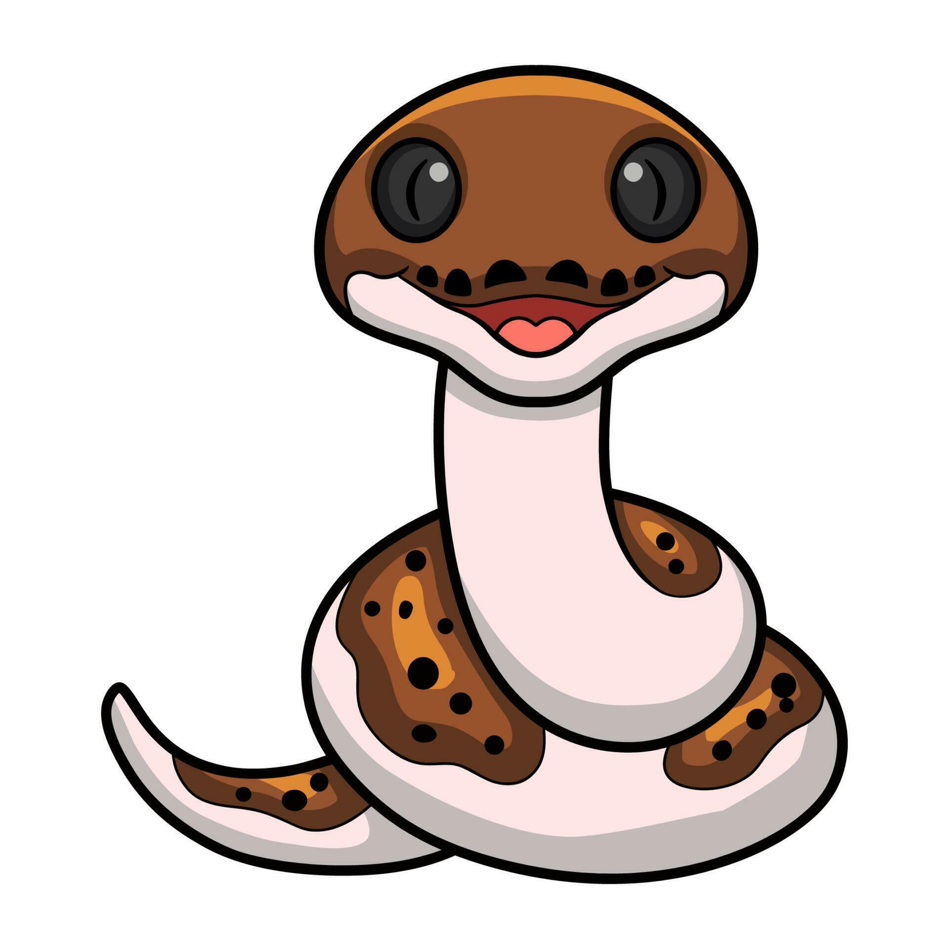 Cute pied reticulated python cartoon 23556241 Vector Art at Vecteezy
