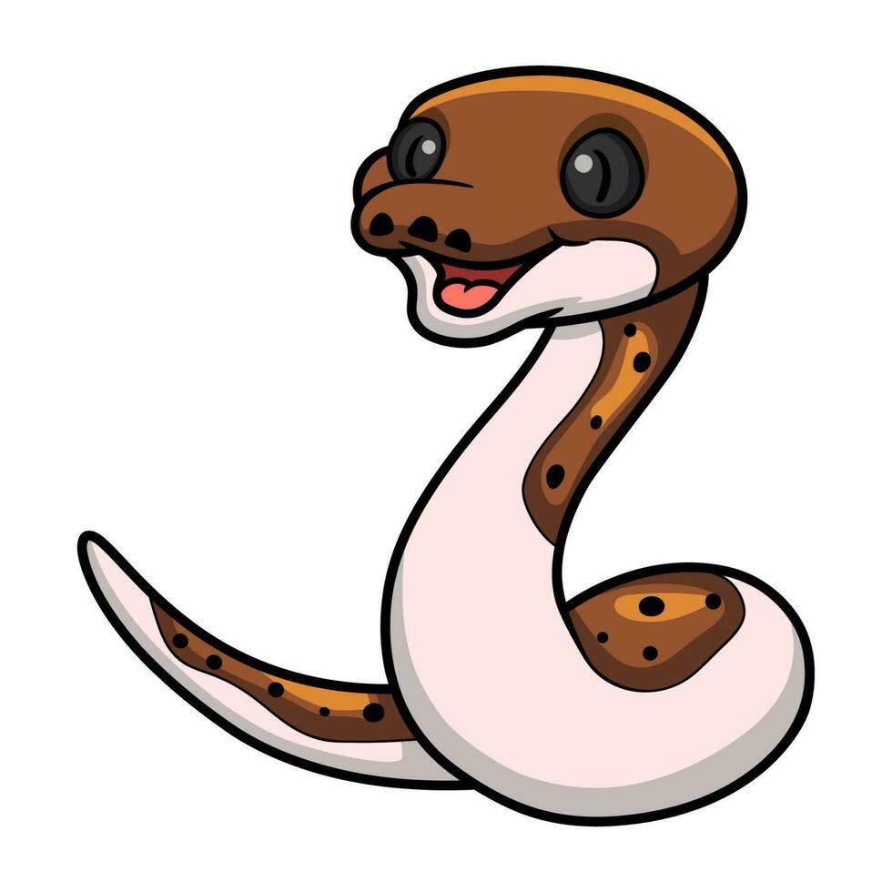 Cute pied reticulated python cartoon 23556244 Vector Art at Vecteezy
