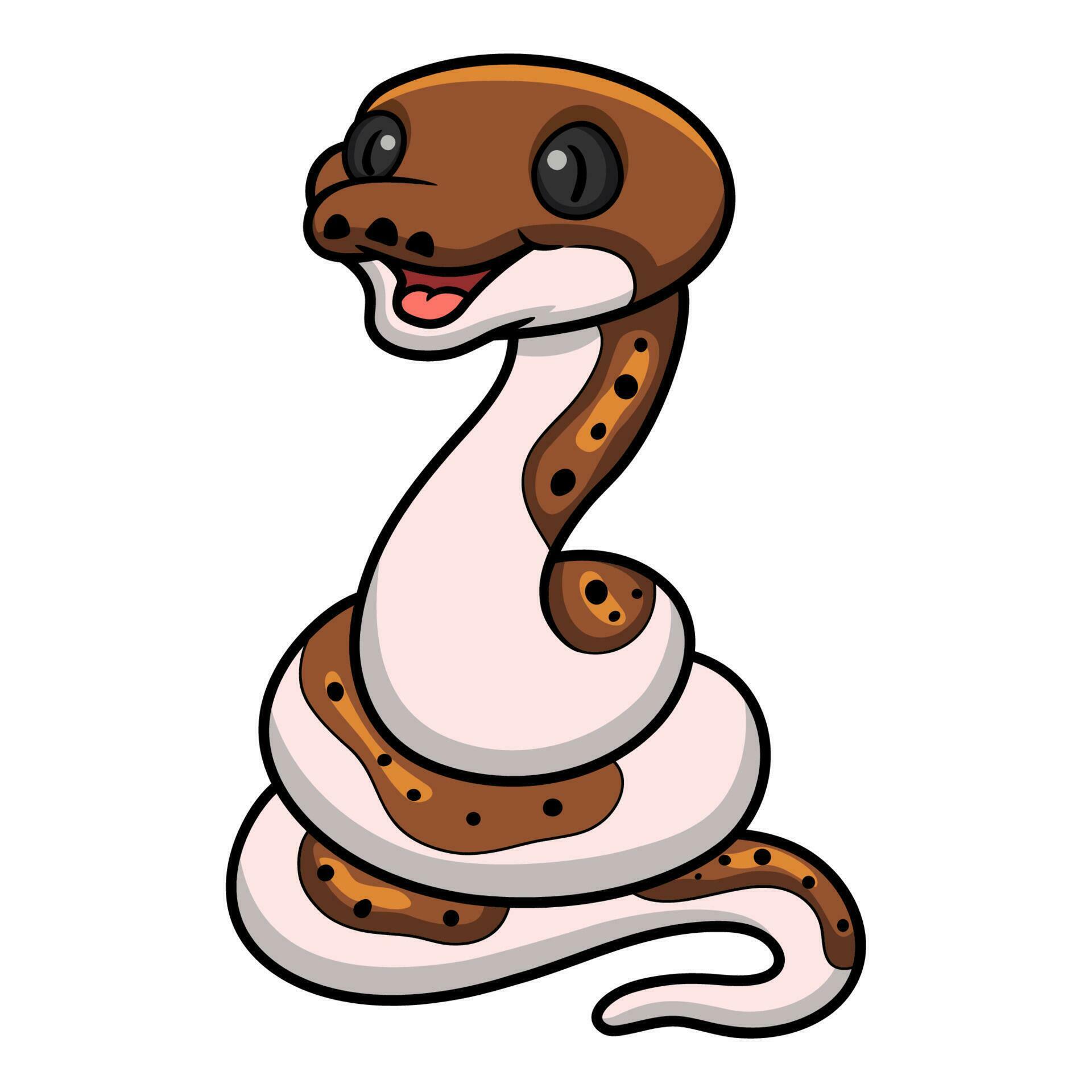 Cute pied reticulated python cartoon 23556254 Vector Art at Vecteezy