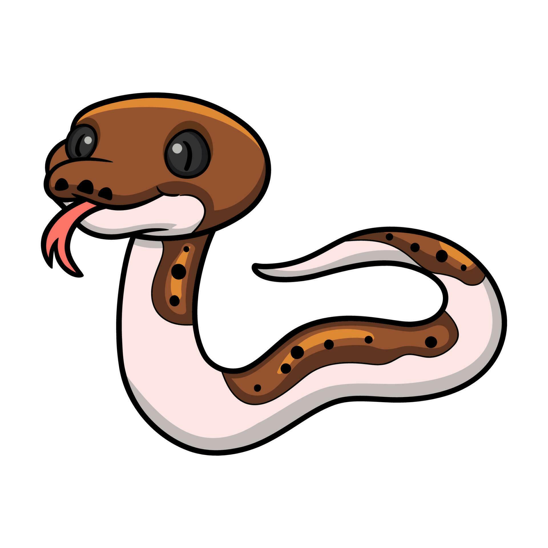 Cute pied reticulated python cartoon 23556256 Vector Art at Vecteezy