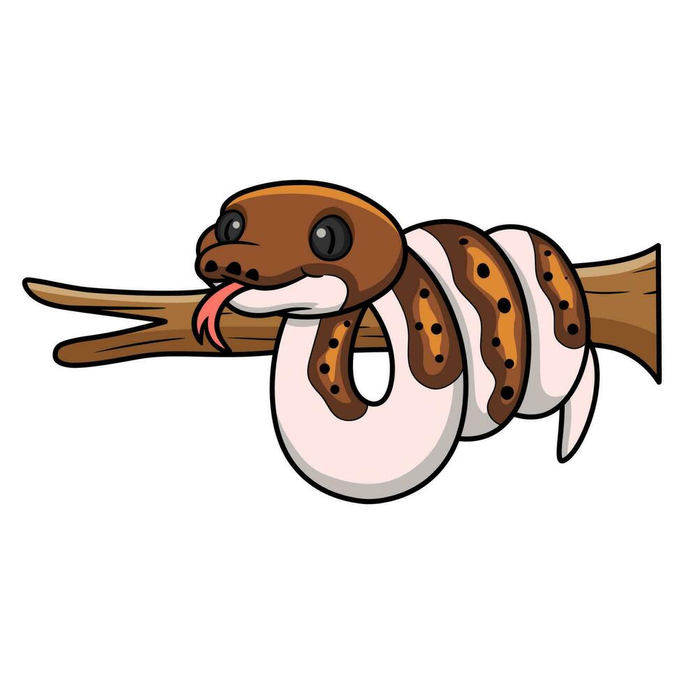 Cute pied reticulated python cartoon on tree branch 23556258 Vector Art ...