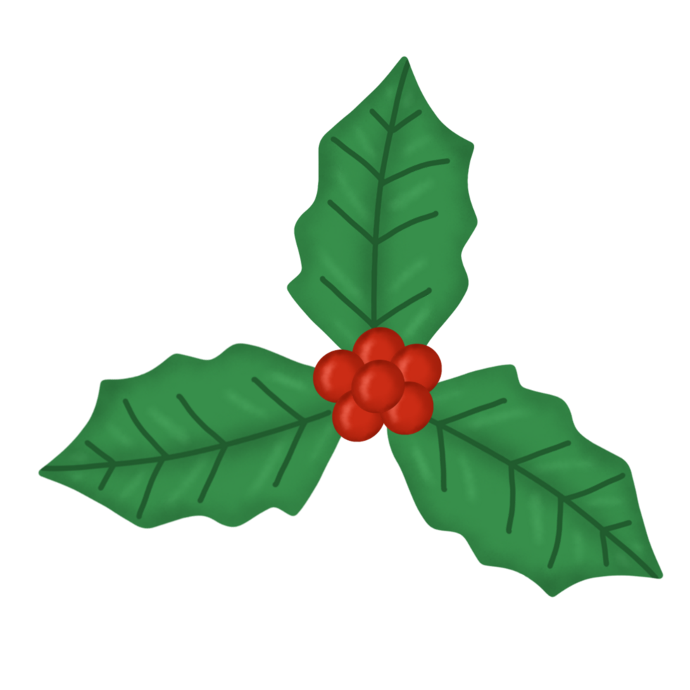 hand drawn christmas element png