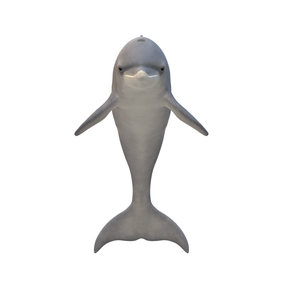 Dolphin isolated on a Transparent Background png