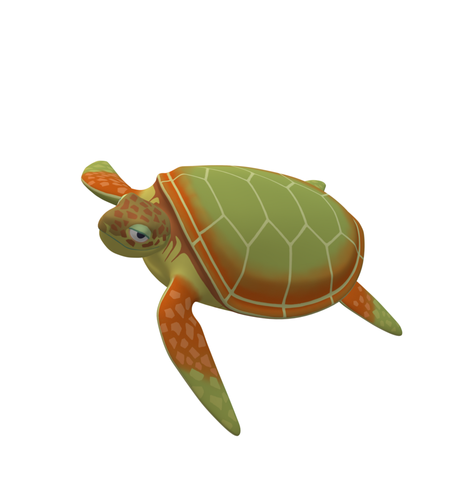 Sea Turtle isolated on a Transparent Background png
