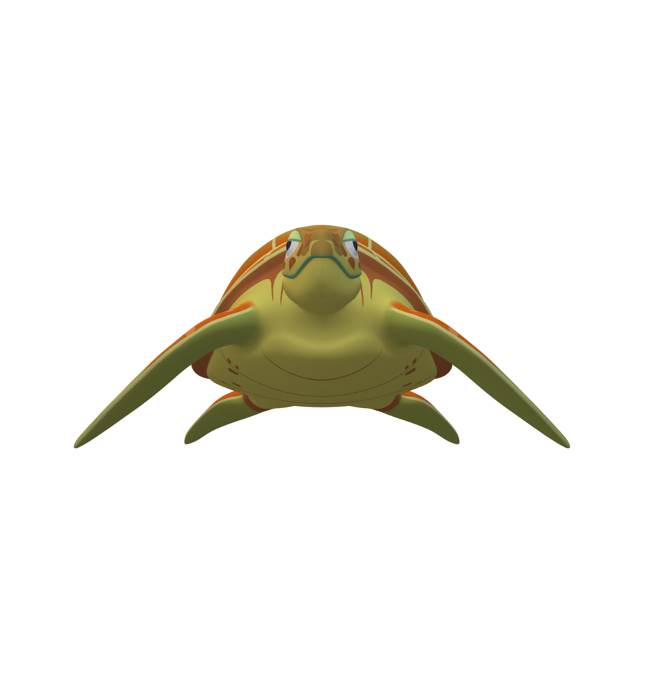 Sea Turtle isolated on a Transparent Background png