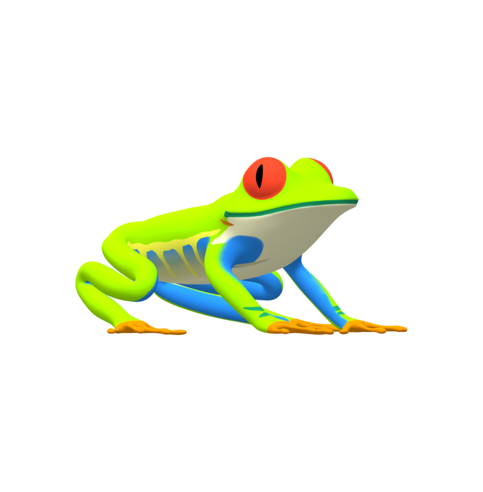 Frog isolated on a Transparent Background png