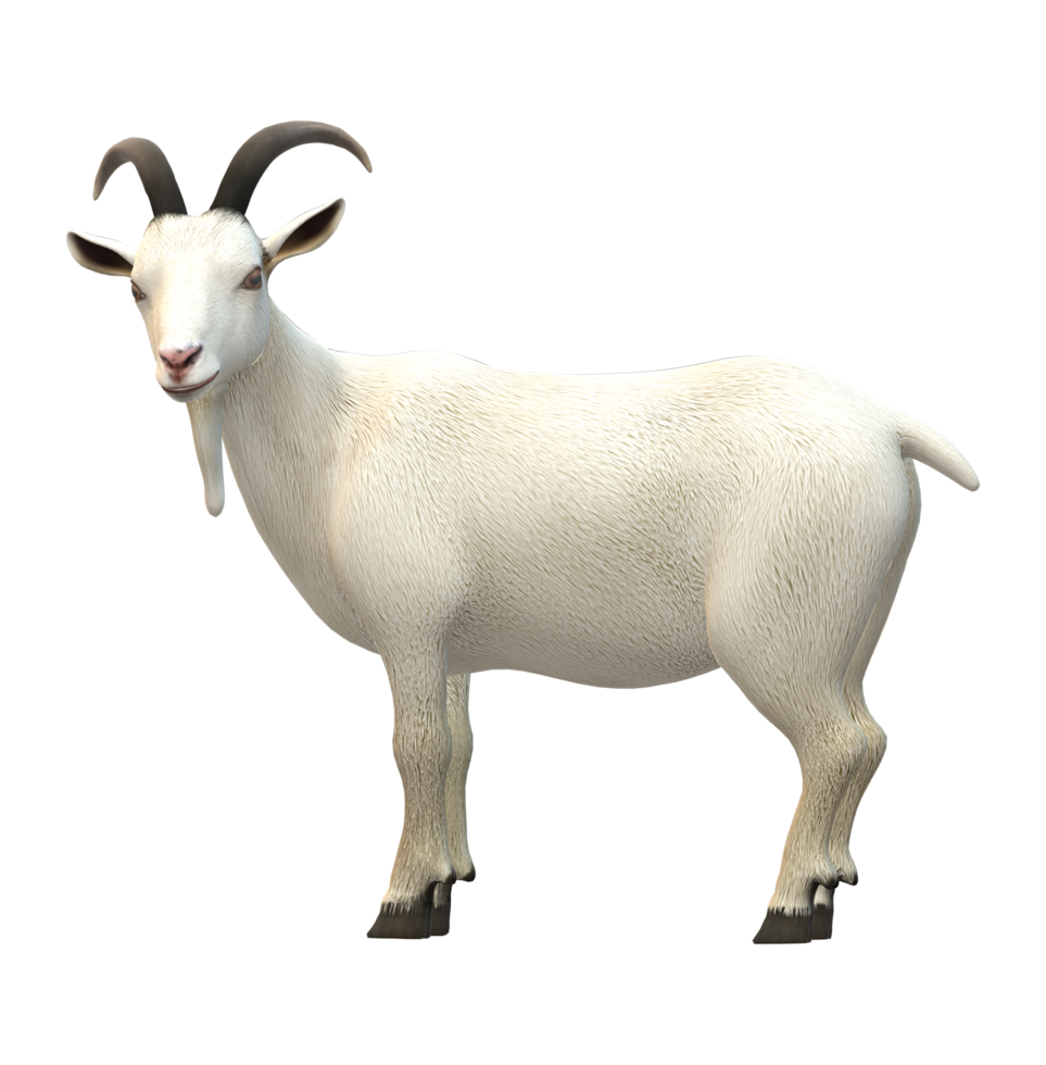 Goat isolated on a Transparent Background png