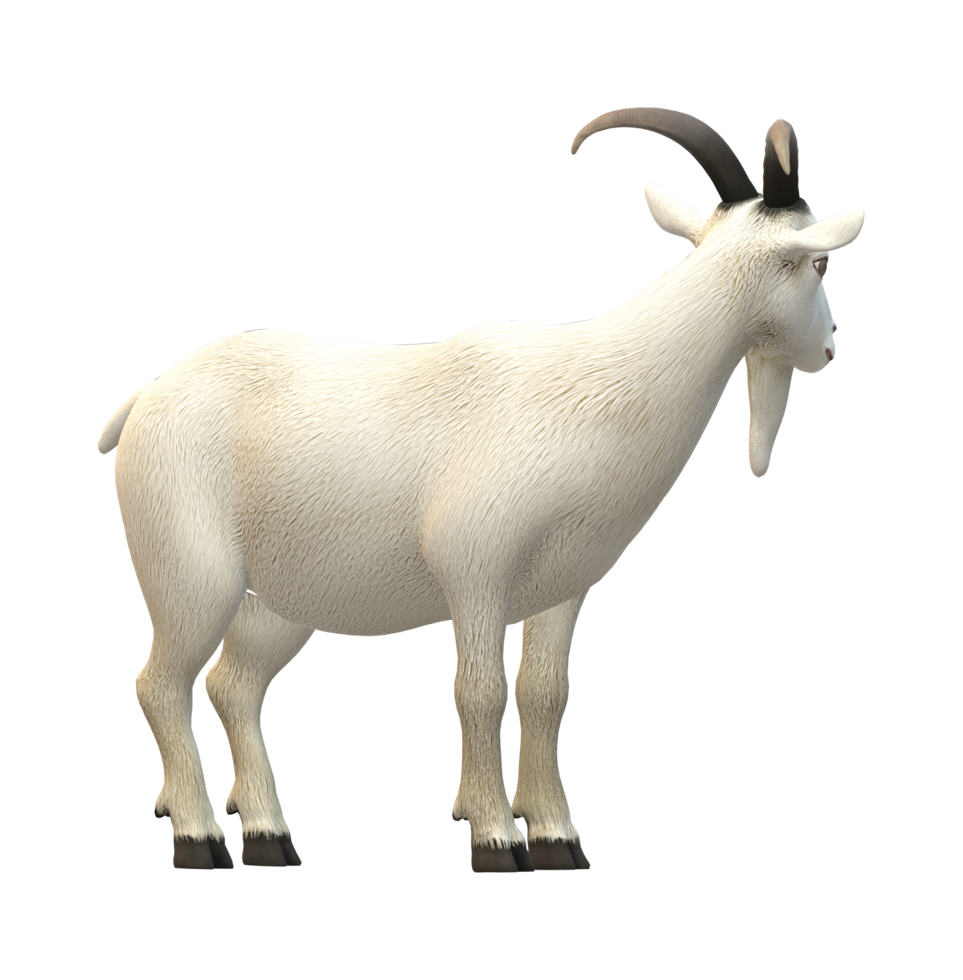 Goat isolated on a Transparent Background png