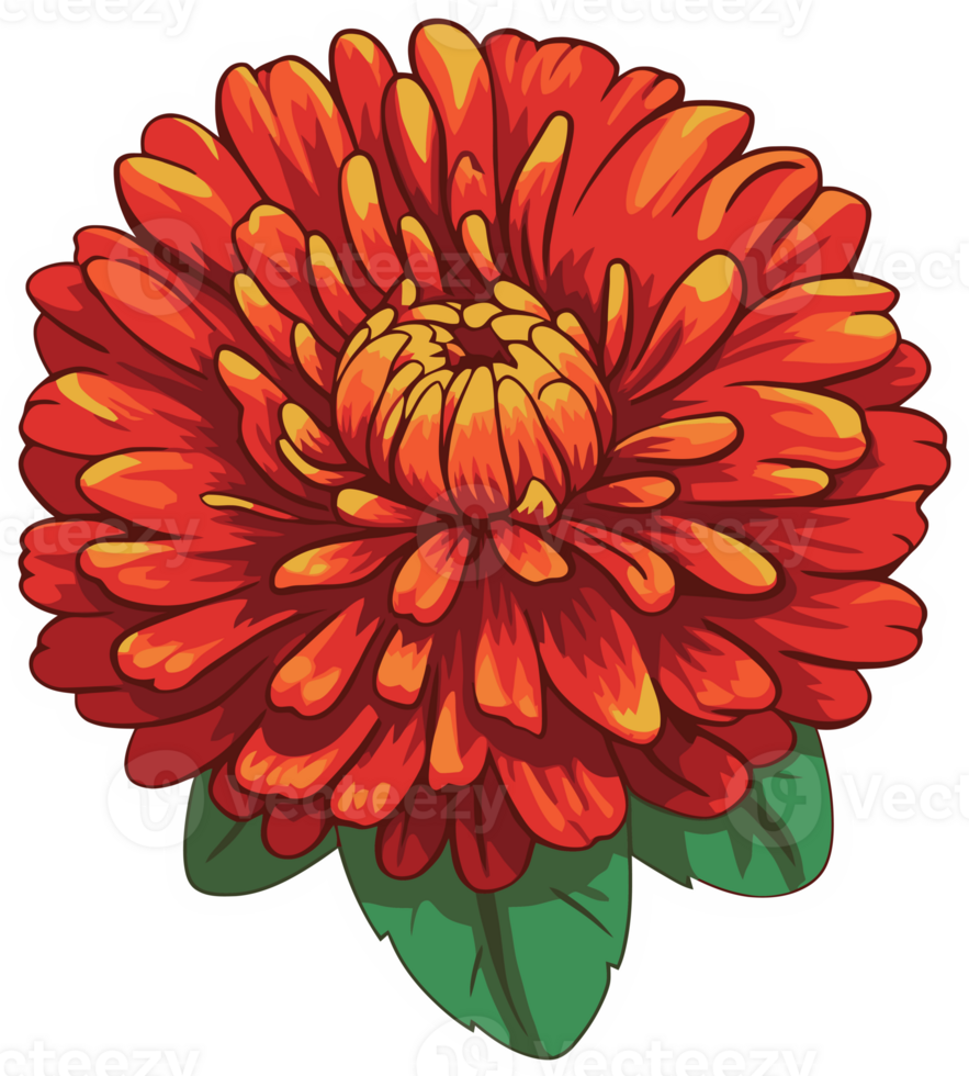 red dahlia flower with yellow tips, floral decorative illustration for sticker and printing png