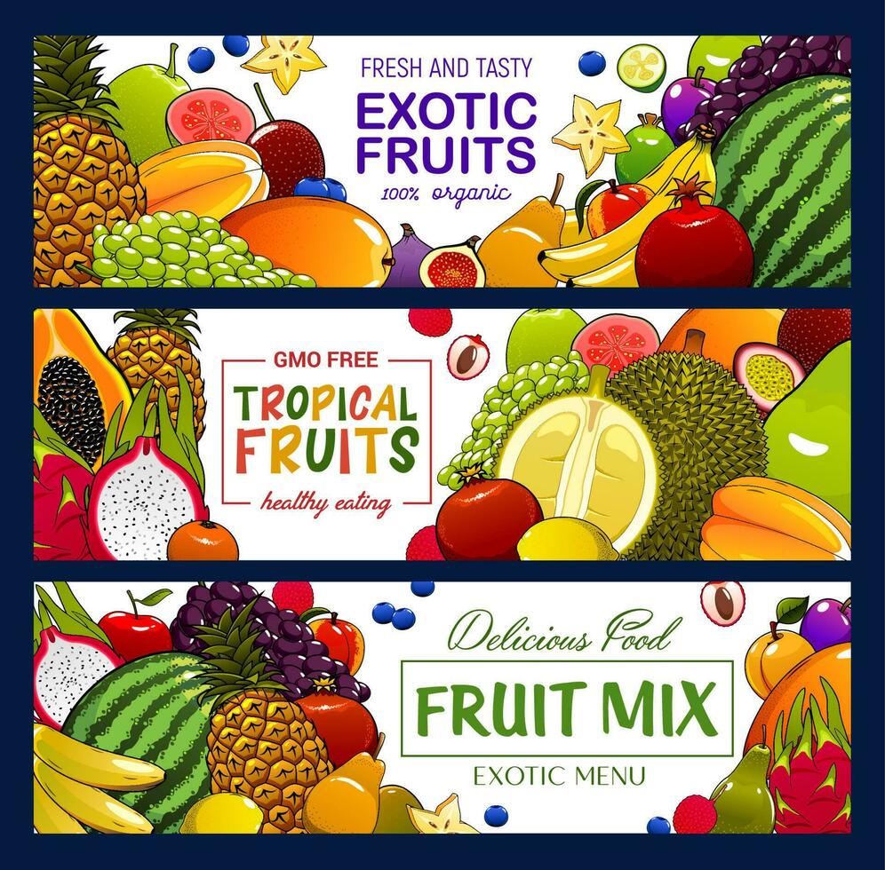Tropical fruits and berry banners vector