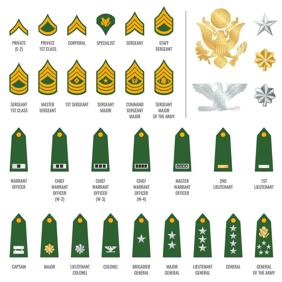 Military ranks shoulder badge, army soldier straps vector
